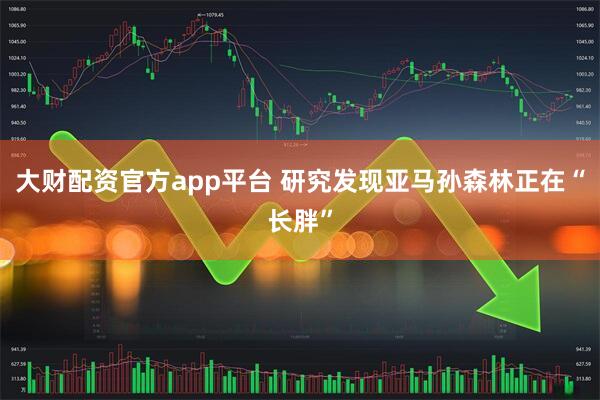 大财配资官方app平台 研究发现亚马孙森林正在“长胖”