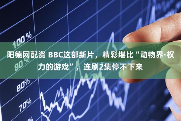 阳德网配资 BBC这部新片，精彩堪比“动物界·权力的游戏”，连刷2集停不下来