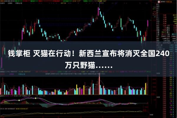 钱掌柜 灭猫在行动！新西兰宣布将消灭全国240万只野猫……